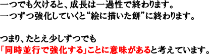 一つでも欠けると、成長は一過性で終わります。一つずつ強化していくと“絵に描いた餅”に終わります。つまり、たとえ少しずつでも「同時並行で強化する」ことに意味があると考えています。